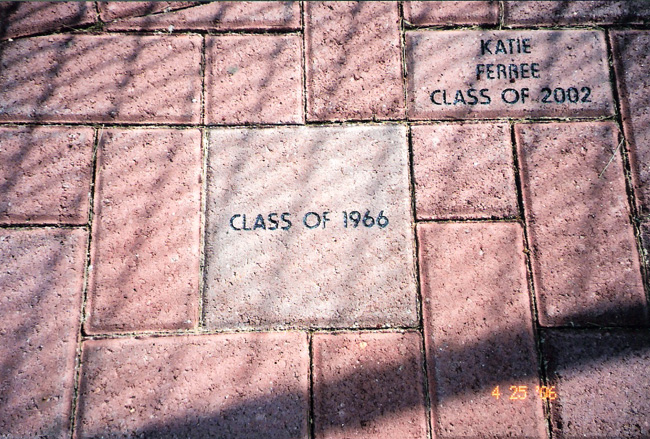 Our Paver